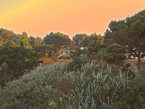 Meridium Formentera By Tentol Hotels بلايا ميجورن
