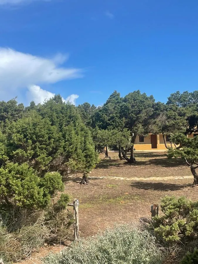 Meridium Formentera By Tentol Hotels Playa Migjorn 0*,