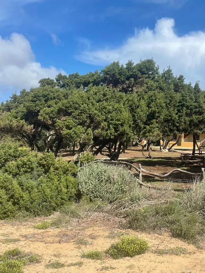 Meridium Formentera By Tentol Hotels Playa Migjorn
