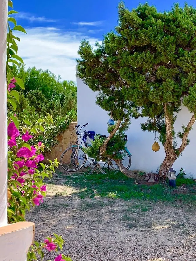 Apartamentos Meridium Playa de Migjorn Hotel